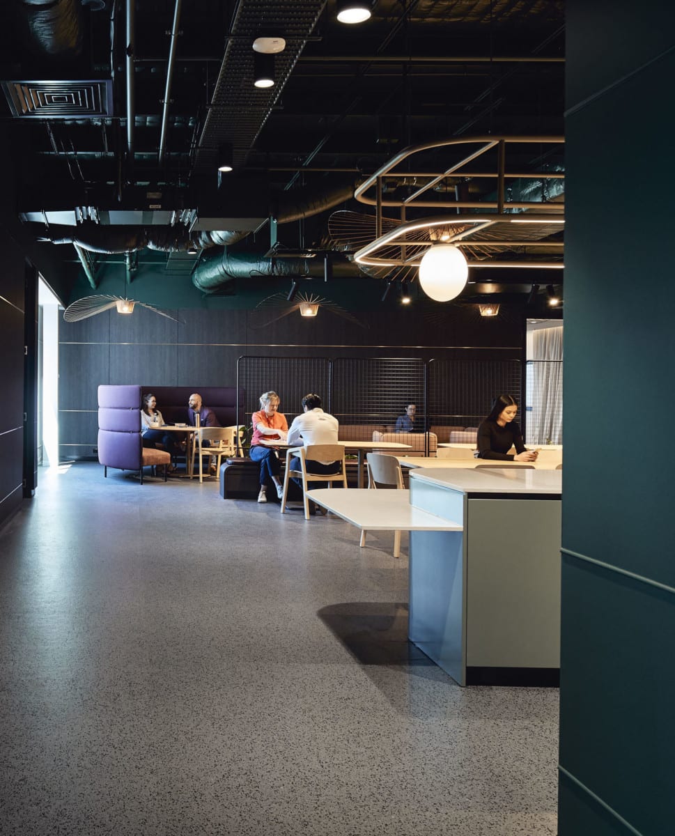 David Jones + Country Road Group Gray Puksand